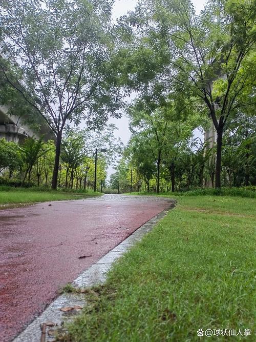 阴天潮湿公园慢走散步场景