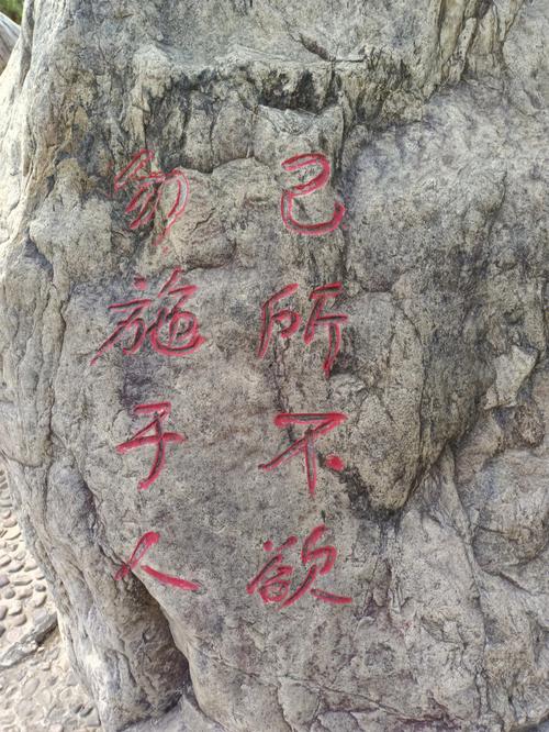 山野杂草中露出半面的清代地界石刻