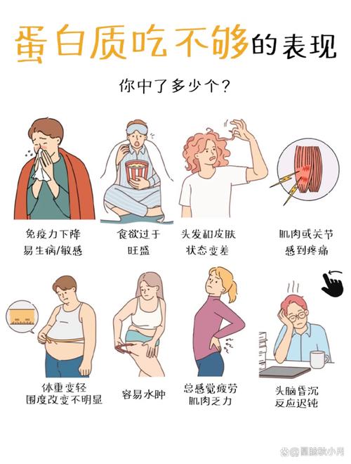 那些让我原地爆炸的蛋白质误区