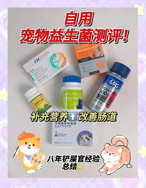 喂宠物益生菌的小细节,很多人都错了