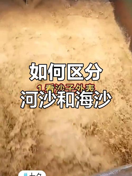 河沙与海沙对比湿抓试验