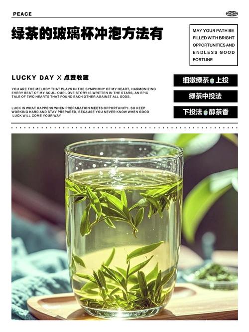 玻璃杯冲泡便携草本干料