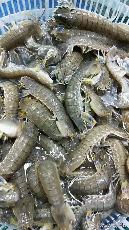 威海本地菜市场鲜活皮皮虾海鲜摊实拍