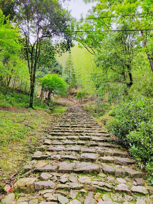 南漳黄垭村山间老石板路