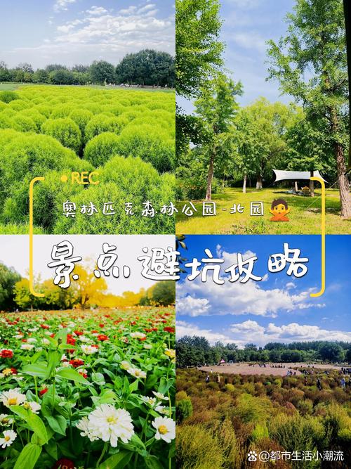 选森林幼儿园，一定要避开这几个坑