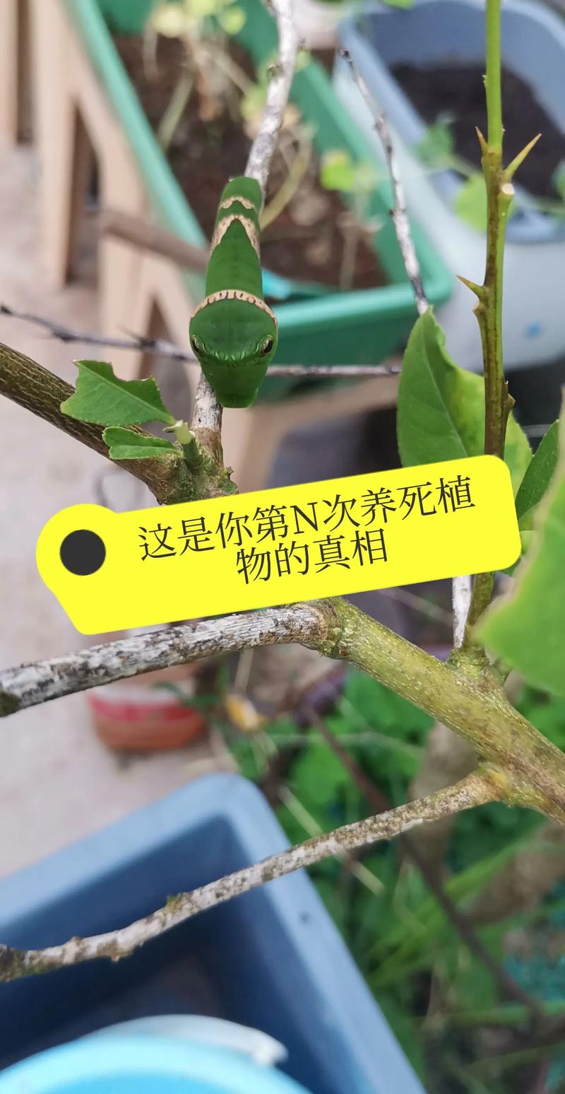 花一分钟就能自检，别等出事才后悔