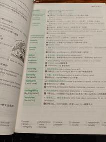 GRE考生画满标记的单词书实拍