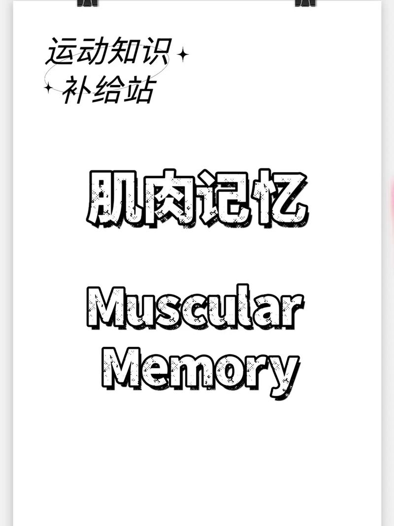 野路子分享:让知识变成肌肉记忆