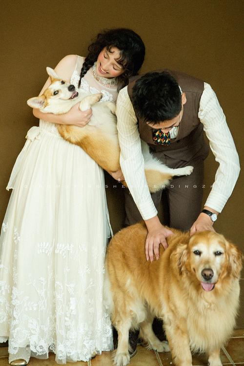 带宠物拍室内婚纱照真实瞬间