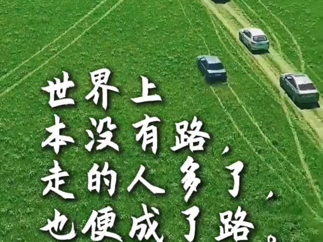 没人走的路，走通了才最爽
