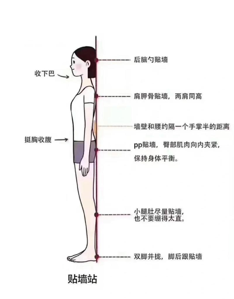 靠墙站立正确姿势示意图