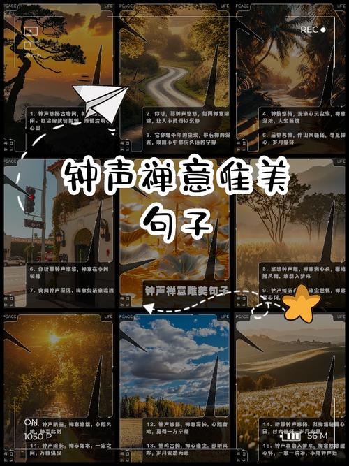 钟声走后,风留在了领口