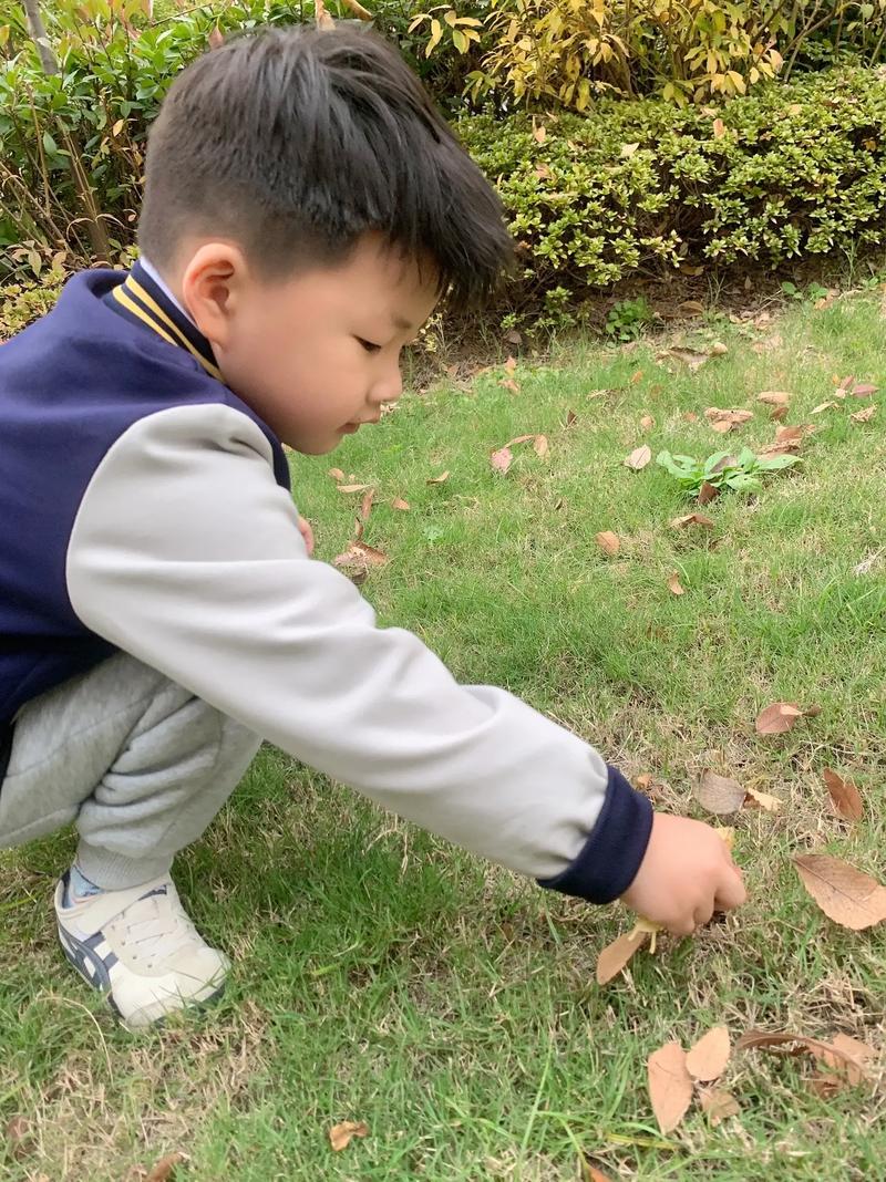 两岁小朋友在小区草坪捡树叶做早教
