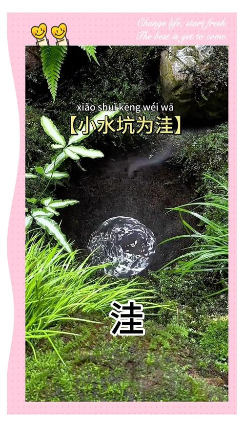 那些流传很广的喝水坑，别随便踩