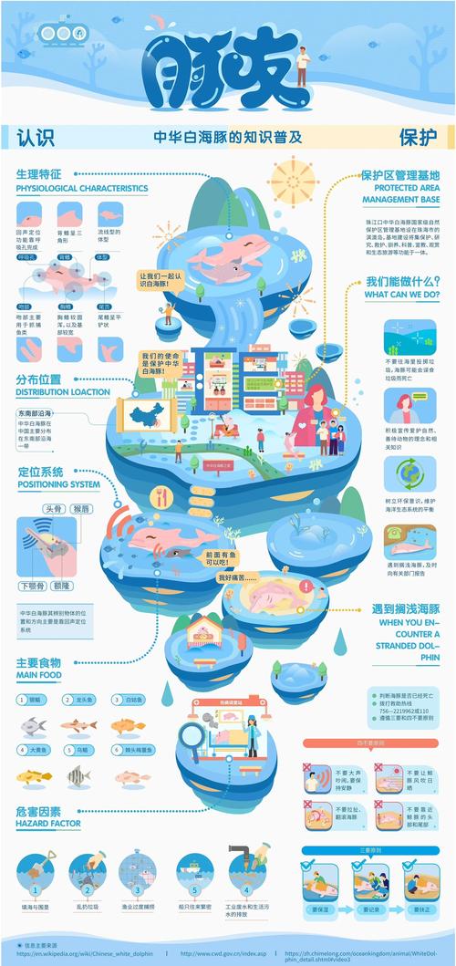 搜索引擎知识图谱信息卡片展示