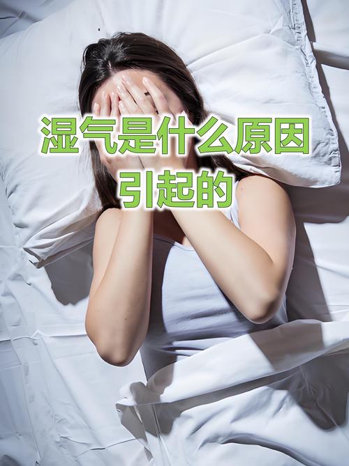 潮潮湿气里磨出来的生活感
