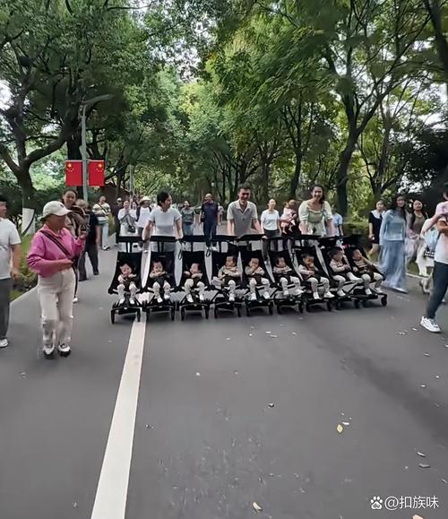 婴儿车在公园宽阔柏油路上轻松推行，两旁绿树成荫
