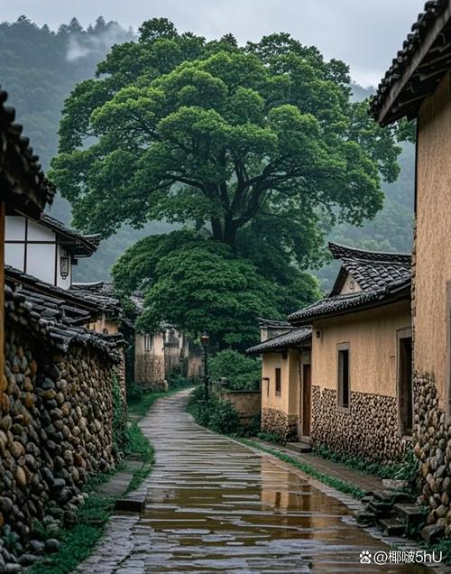 古镇青石板路与青苔墙角