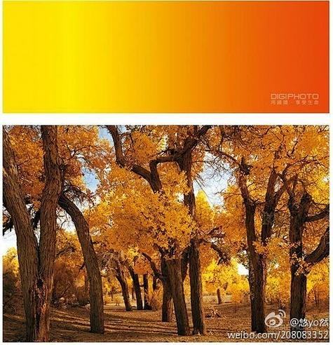 2、站点本身的基础条件