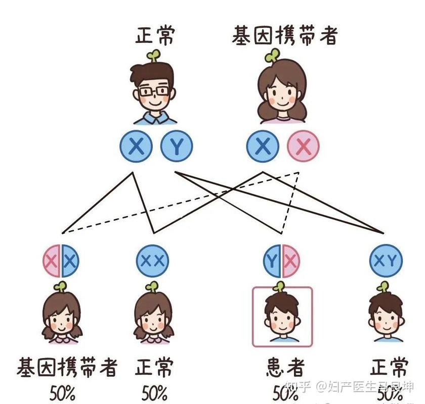 儿童过敏易感基因家族遗传示意图