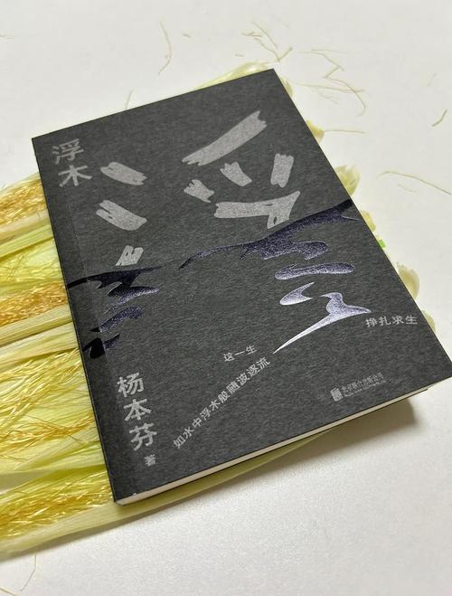 人把浮木捡回来,然后呢?——从废材到艺术,一场偏执的坚持