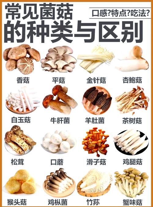 市场新鲜菌菇好坏对比图