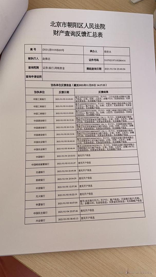 法院终本案件债务财产查询记录表