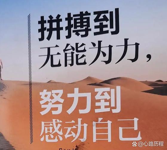 我踩过的坑：别用“努力”感动自己
