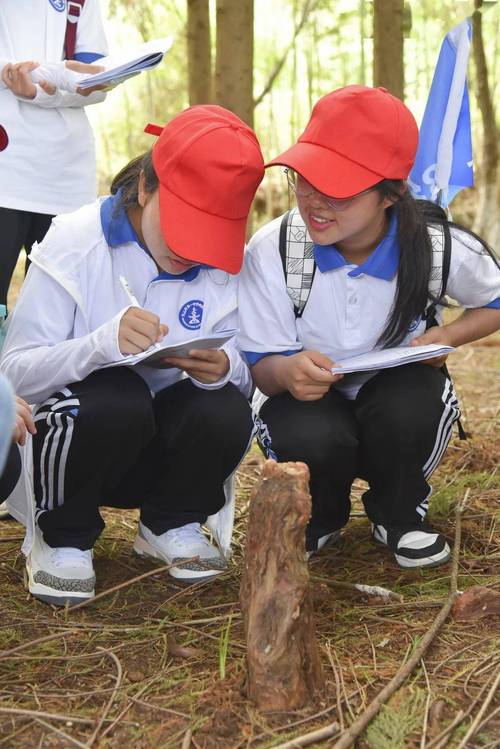 中小学生山林研学路边抄笔记场景