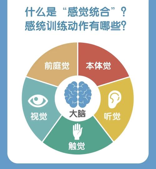 儿童体能训练增强大脑认知功能示意图