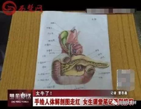 妈妈和女儿共读人体绘本,手指着生殖器部位讲解