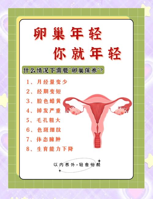 美容院卵巢保养项目宣传海报