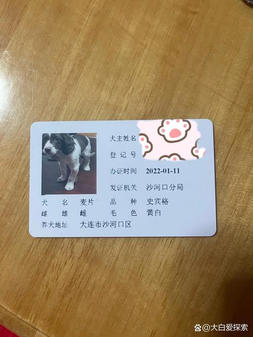 宠物微芯片对应身份登记卡信息填写实拍