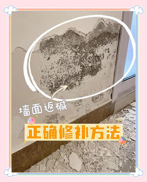 墙面防霉，90%的人都错了！装修老炮的泣血问答