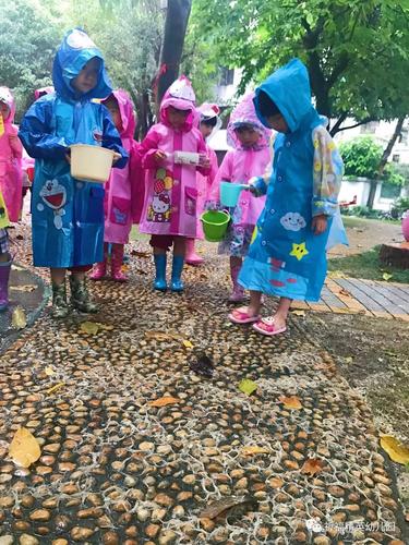 森林幼儿园孩子们在雨中的森林里收集树叶