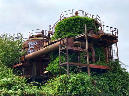 废弃工厂改建的自然教育湿地公园