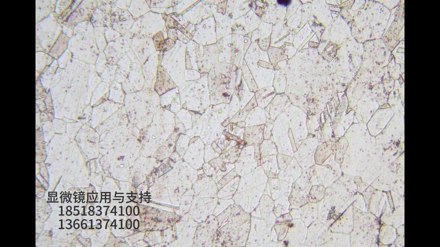 链条金相组织晶粒度检测