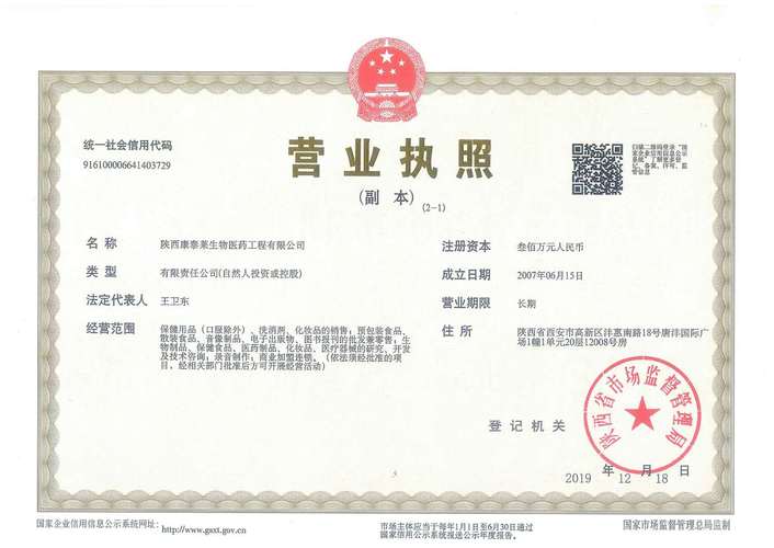 国内有限责任公司营业执照正本实物图