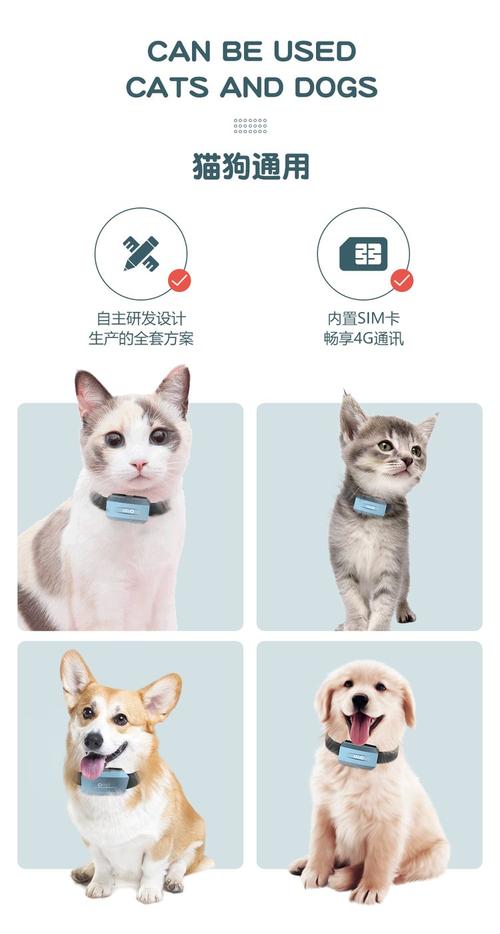 电商平台上宠物智能项圈的功能宣传详情页截图