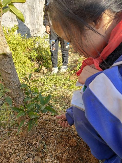 小学生在户外观察一棵树并做笔记的场景照片