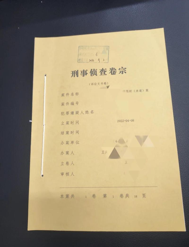 刑事辩护律师查阅案件卷宗