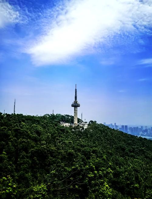 岳麓山滑道儿童