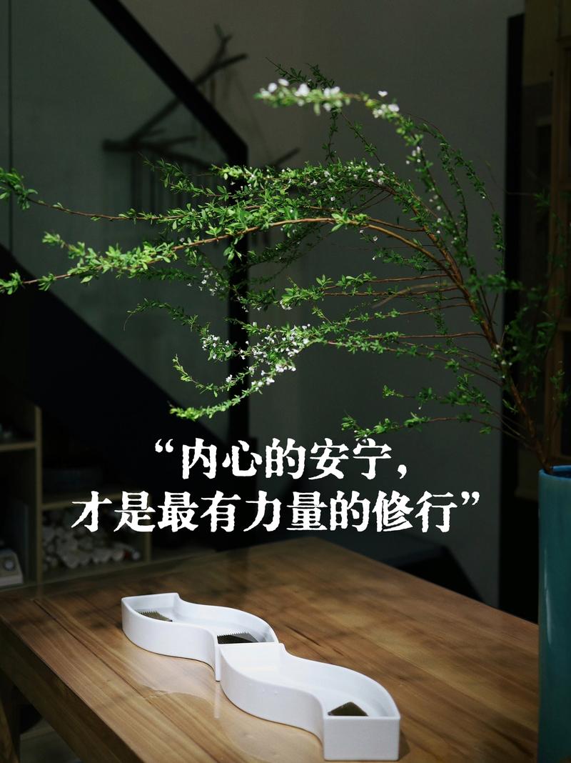 价值重构:当打包变成一场精神修行