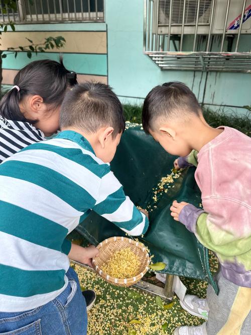 那天蹲在楼下捡桂花的小孩