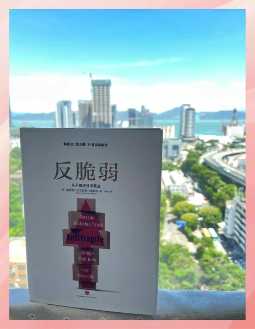 在关系里,你同样需要反脆弱