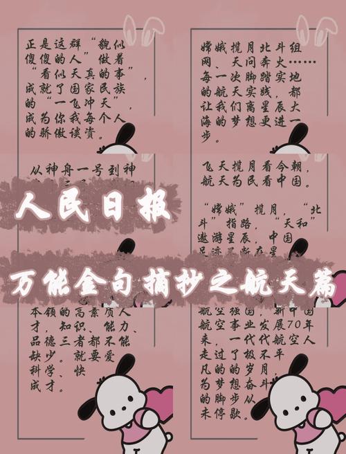 🚀 最后一句大实话