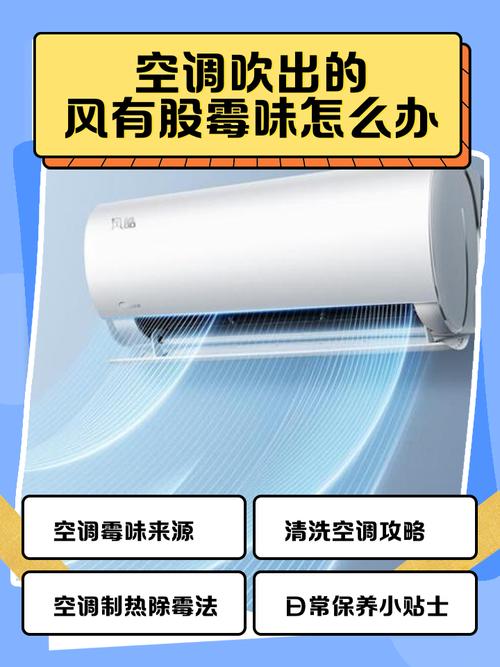 风里藏着机器给不了的味道