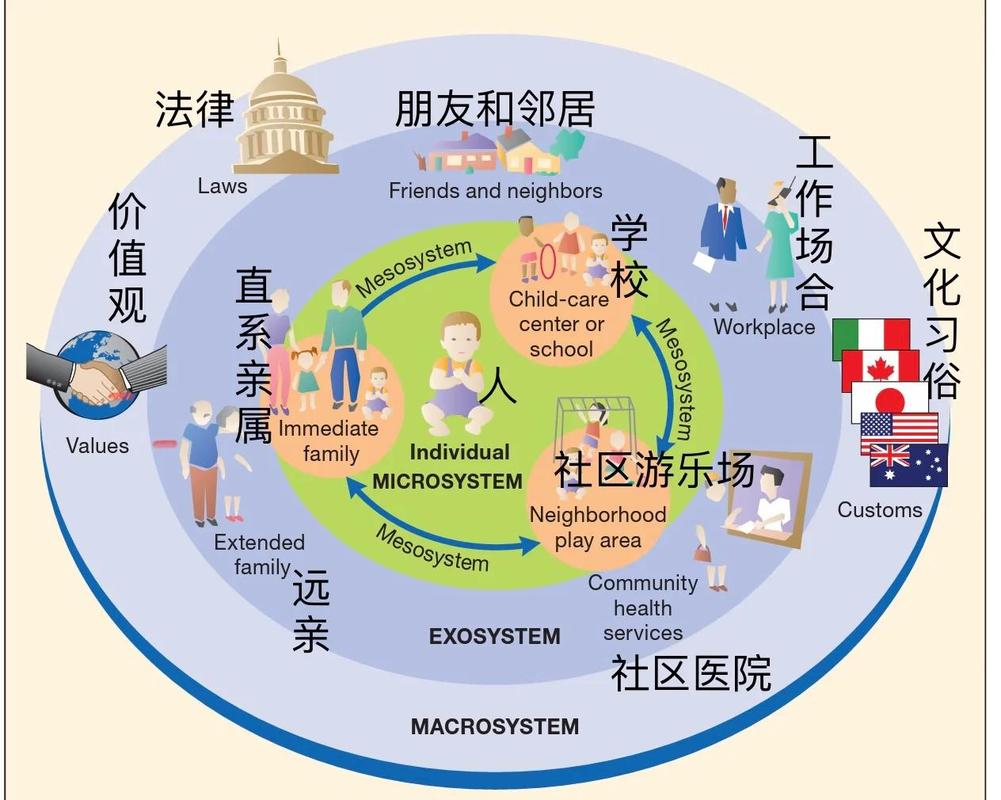 资源的拼图:从政策到社区,哪些真有用