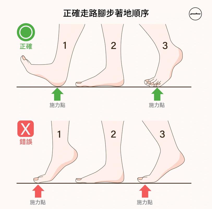 正确错误步行步幅对比示意图