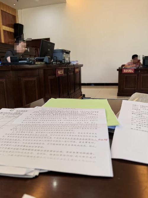 代理权滥用民事纠纷庭审记录照片